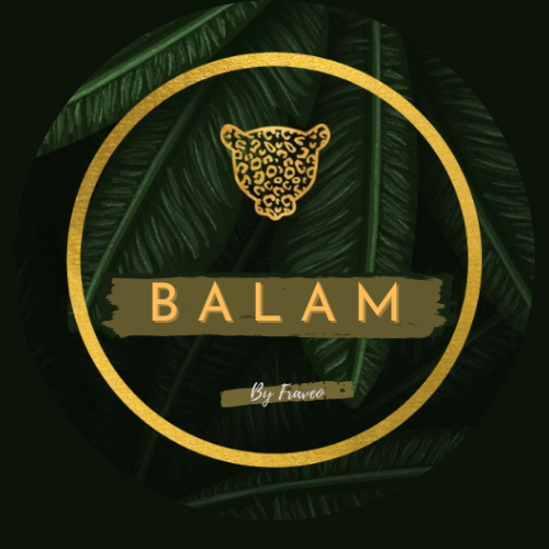 Viajes Balam by Fraveo
